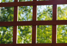 Come scegliere frangivento e grigliati 1378 0 Come scegliere frangivento e grigliati_ok